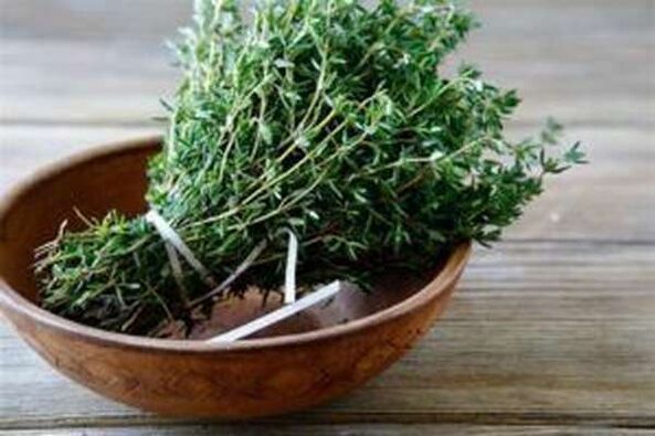 Le thym aide à faire face à l'impuissance masculine